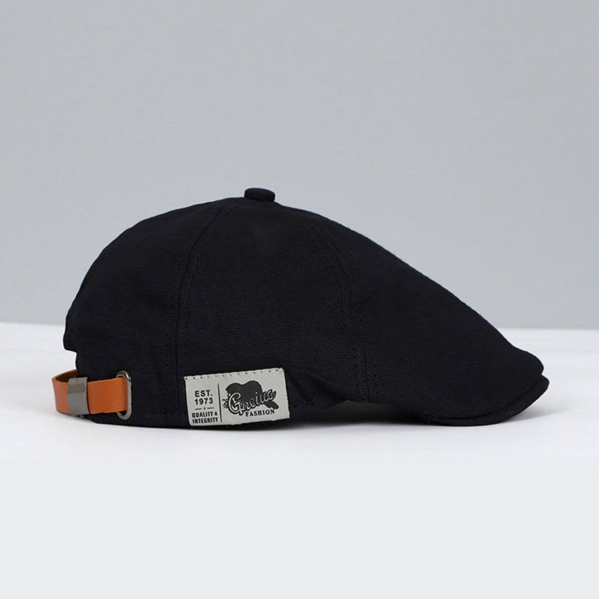 Vanmeeren™ | Stijlvolle Retro Pet 2+1 Gratis